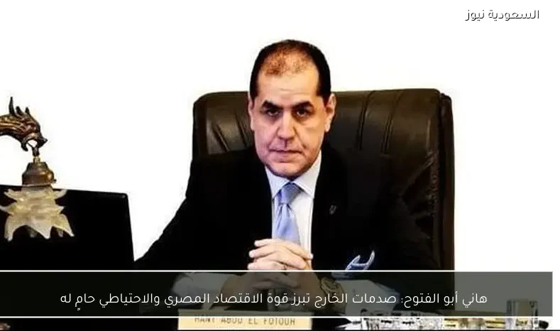 هاني أبو الفتوح: صدمات الخارج تبرز قوة الاقتصاد المصري والاحتياطي حامٍ له