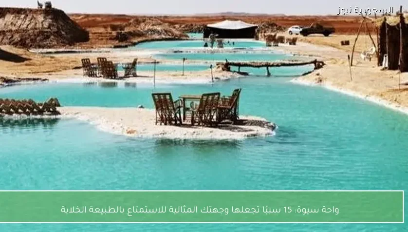 واحة سيوة: 15 سببًا تجعلها وجهتك المثالية للاستمتاع بالطبيعة الخلابة