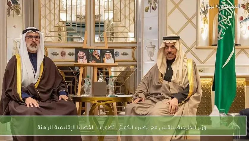 وزير الخارجية يناقش مع نظيره الكويتي تطورات القضايا الإقليمية الراهنة
