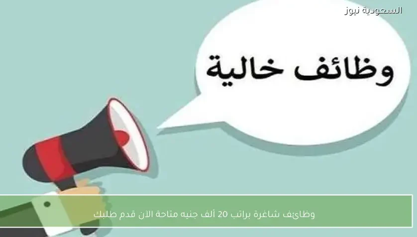 وظائف شاغرة براتب 20 ألف جنيه متاحة الآن قدم طلبك