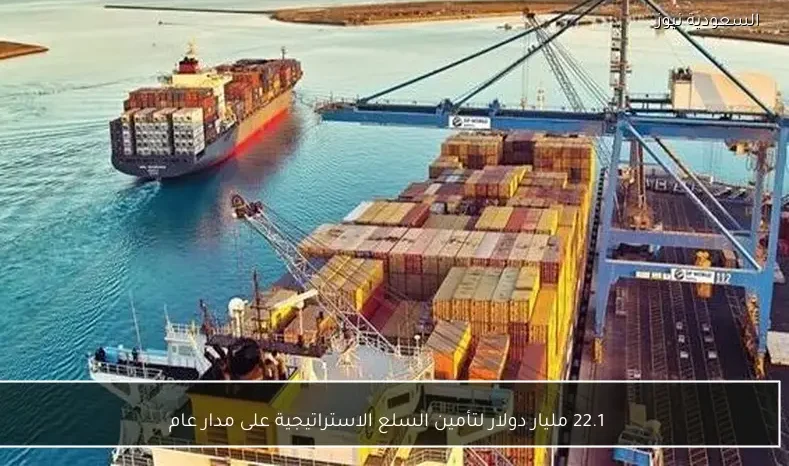 22.1 مليار دولار لتأمين السلع الاستراتيجية على مدار عام