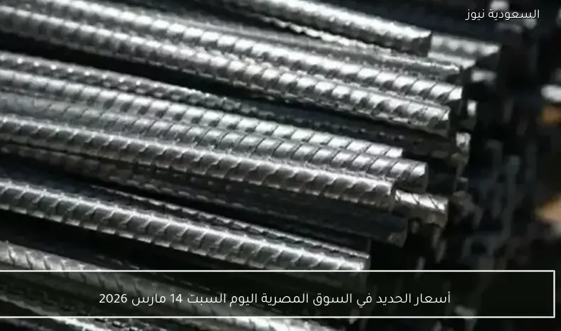 أسعار الحديد في السوق المصرية اليوم السبت 14 مارس 2026