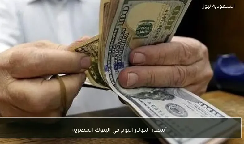 أسعار الدولار اليوم في البنوك المصرية