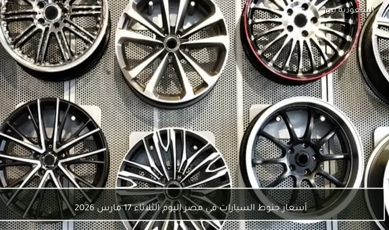 أسعار جنوط السيارات في مصر اليوم الثلاثاء 17 مارس 2026