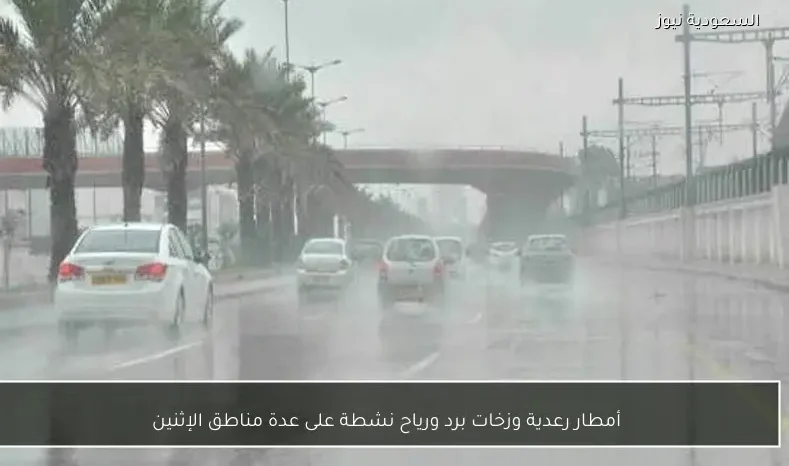أمطار رعدية وزخات برد ورياح نشطة على عدة مناطق الإثنين