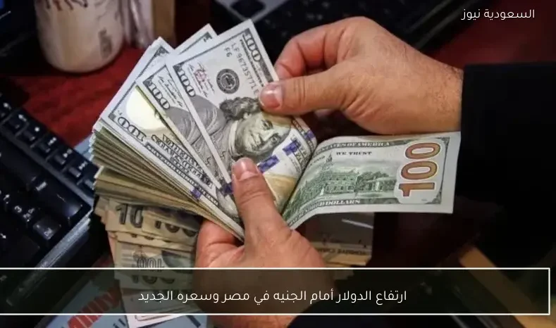 ارتفاع الدولار أمام الجنيه في مصر وسعره الجديد