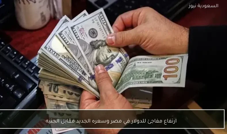 ارتفاع مفاجئ للدولار في مصر وسعره الجديد مقابل الجنيه