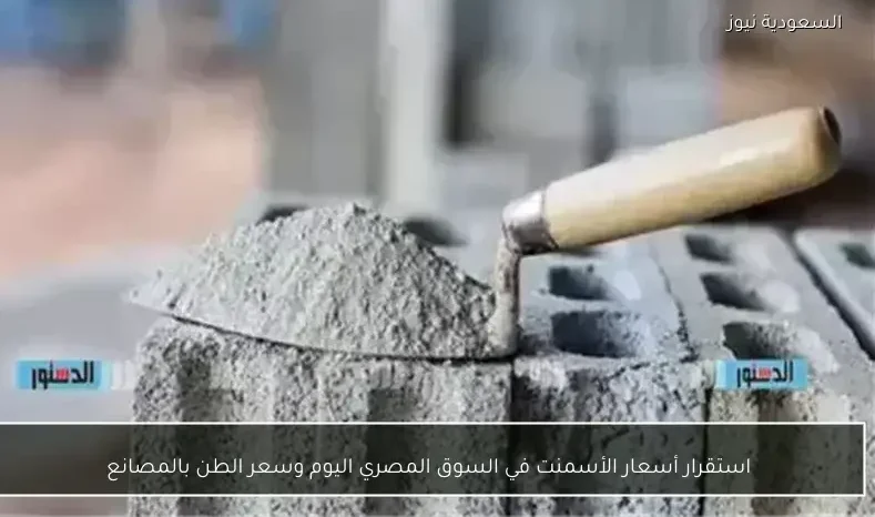 استقرار أسعار الأسمنت في السوق المصري اليوم وسعر الطن بالمصانع