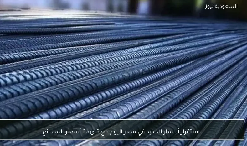 استقرار أسعار الحديد في مصر اليوم مع قائمة أسعار المصانع