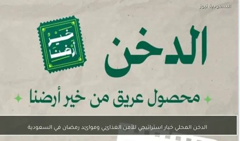 الدخن المحلي خيار استراتيجي للأمن الغذائي وموائد رمضان في السعودية