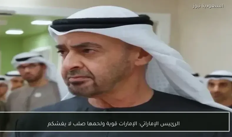 الرئيس الإماراتي: الإمارات قوية ولحمها صلب لا يغشكم