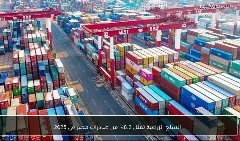 السلع الزراعية تمثل 8.2% من صادرات مصر في 2025