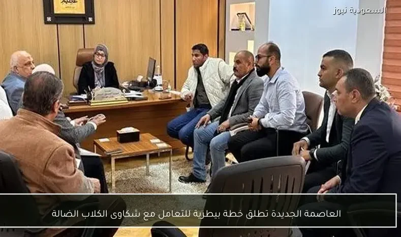 العاصمة الجديدة تطلق خطة بيطرية للتعامل مع شكاوى الكلاب الضالة