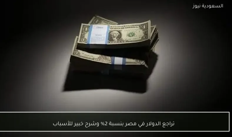 تراجع الدولار في مصر بنسبة 2% وشرح خبير للأسباب