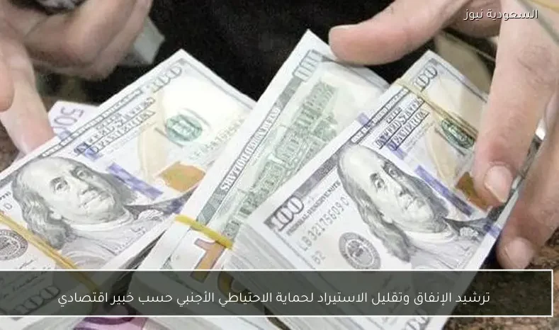 ترشيد الإنفاق وتقليل الاستيراد لحماية الاحتياطي الأجنبي حسب خبير اقتصادي