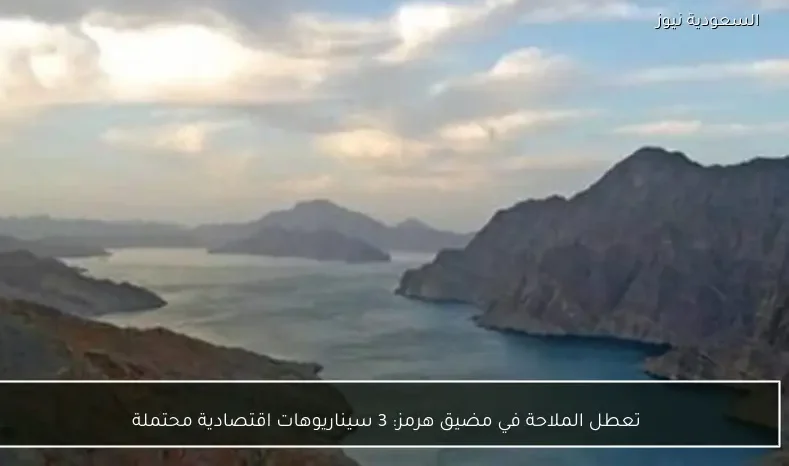 تعطل الملاحة في مضيق هرمز: 3 سيناريوهات اقتصادية محتملة