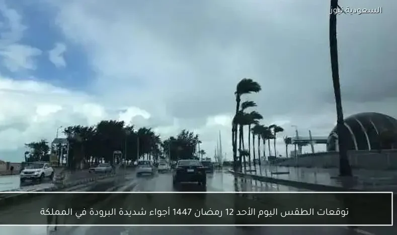 توقعات الطقس اليوم الأحد 12 رمضان 1447 أجواء شديدة البرودة في المملكة