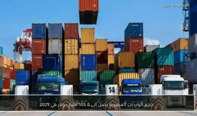 حجم الواردات المصرية يصل إلى 103.8 مليار دولار في 2025