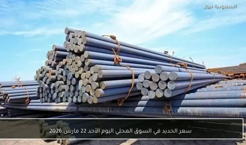 سعر الحديد في السوق المحلي اليوم الأحد 22 مارس 2026