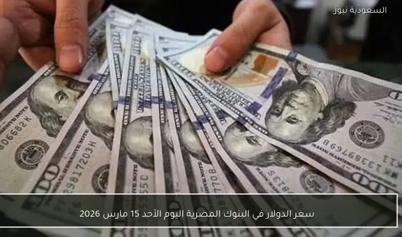 سعر الدولار في البنوك المصرية اليوم الأحد 15 مارس 2026