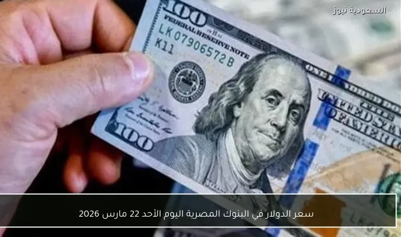 سعر الدولار في البنوك المصرية اليوم الأحد 22 مارس 2026