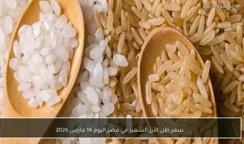 سعر طن الأرز الشعير في مصر اليوم 16 مارس 2026