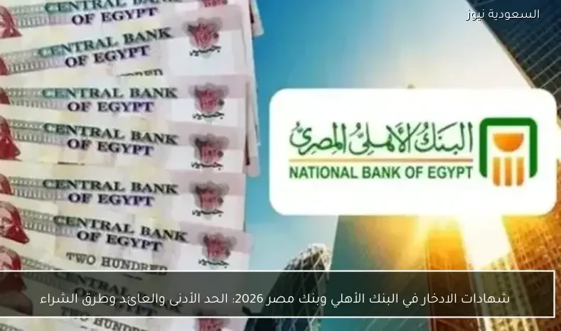 شهادات الادخار في البنك الأهلي وبنك مصر 2026: الحد الأدنى والعائد وطرق الشراء