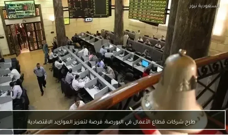 طرح شركات قطاع الأعمال في البورصة: فرصة لتعزيز العوائد الاقتصادية