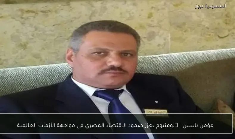 مؤمن ياسين: الألومنيوم يعزز صمود الاقتصاد المصري في مواجهة الأزمات العالمية