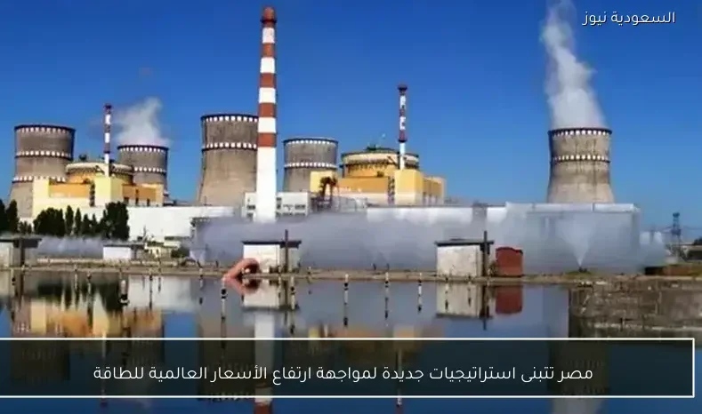 مصر تتبنى استراتيجيات جديدة لمواجهة ارتفاع الأسعار العالمية للطاقة