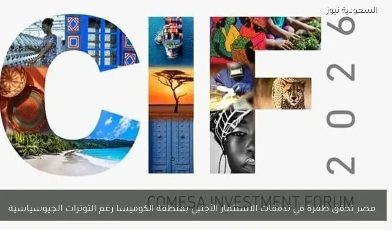 مصر تحقق طفرة في تدفقات الاستثمار الأجنبي بمنطقة الكوميسا رغم التوترات الجيوسياسية