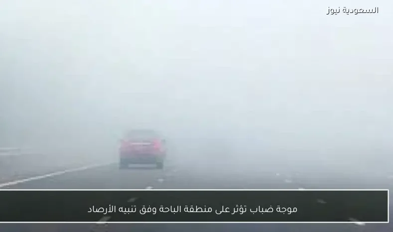 موجة ضباب تؤثر على منطقة الباحة وفق تنبيه الأرصاد