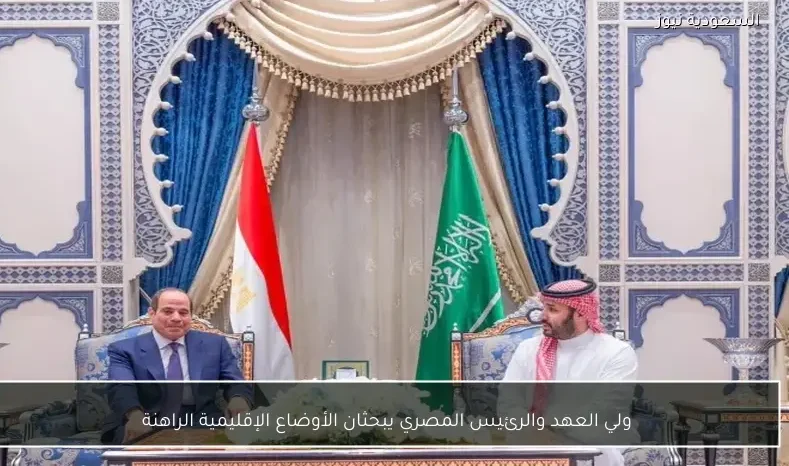 ولي العهد والرئيس المصري يبحثان الأوضاع الإقليمية الراهنة